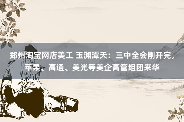 郑州淘宝网店美工 玉渊潭天：三中全会刚开完，苹果、高通、美光等美企高管组团来华