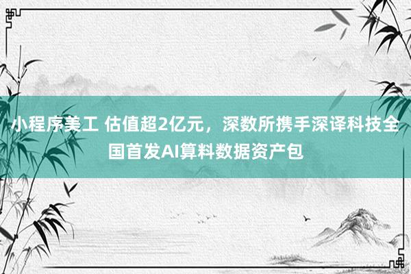 小程序美工 估值超2亿元，深数所携手深译科技全国首发AI算料数据资产包